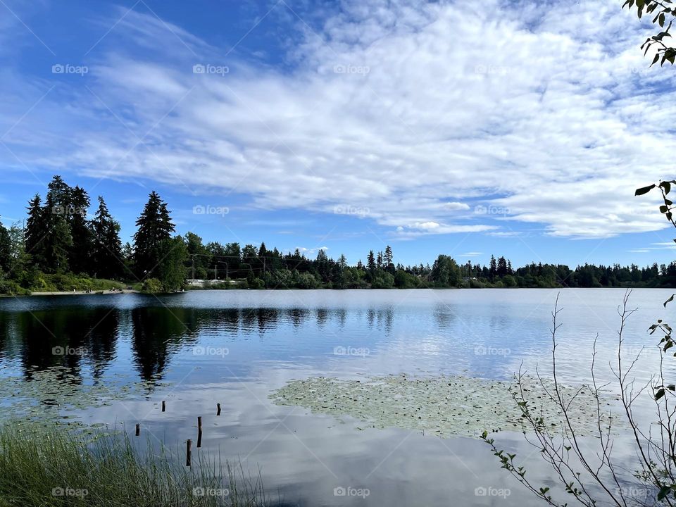 Beautiful landscape with river and forest 