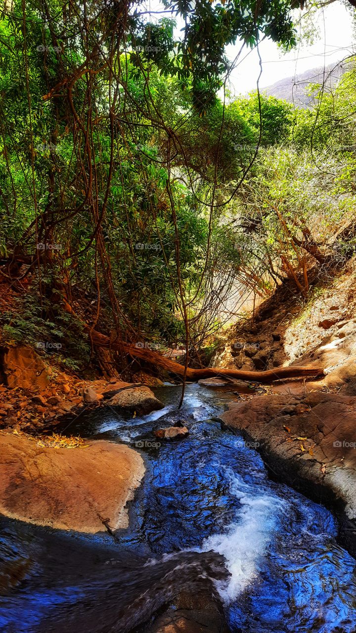 Beautiful river,river,water,trees,Mountain,nature,landscape,stones,foliage,green,rocks