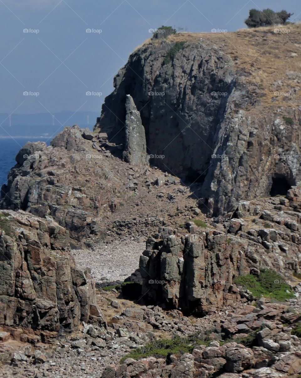 Detail of Hovs Hallar rocky landscape on Bjäre peninsula, Skåne, Sweden 1