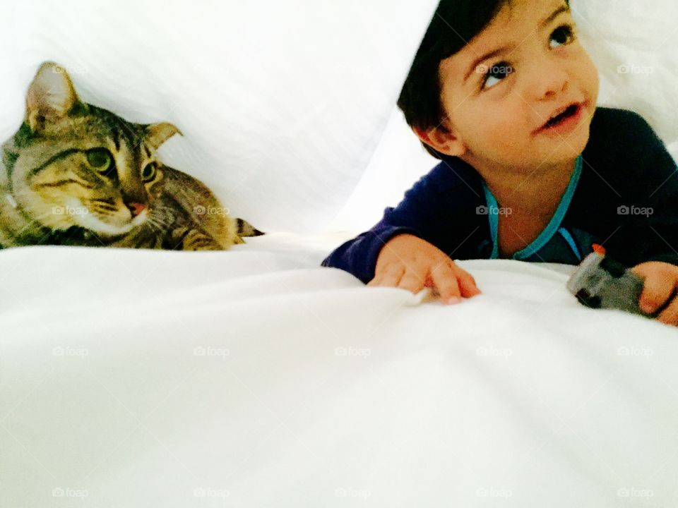 Boy lying on bed with a tabby cat