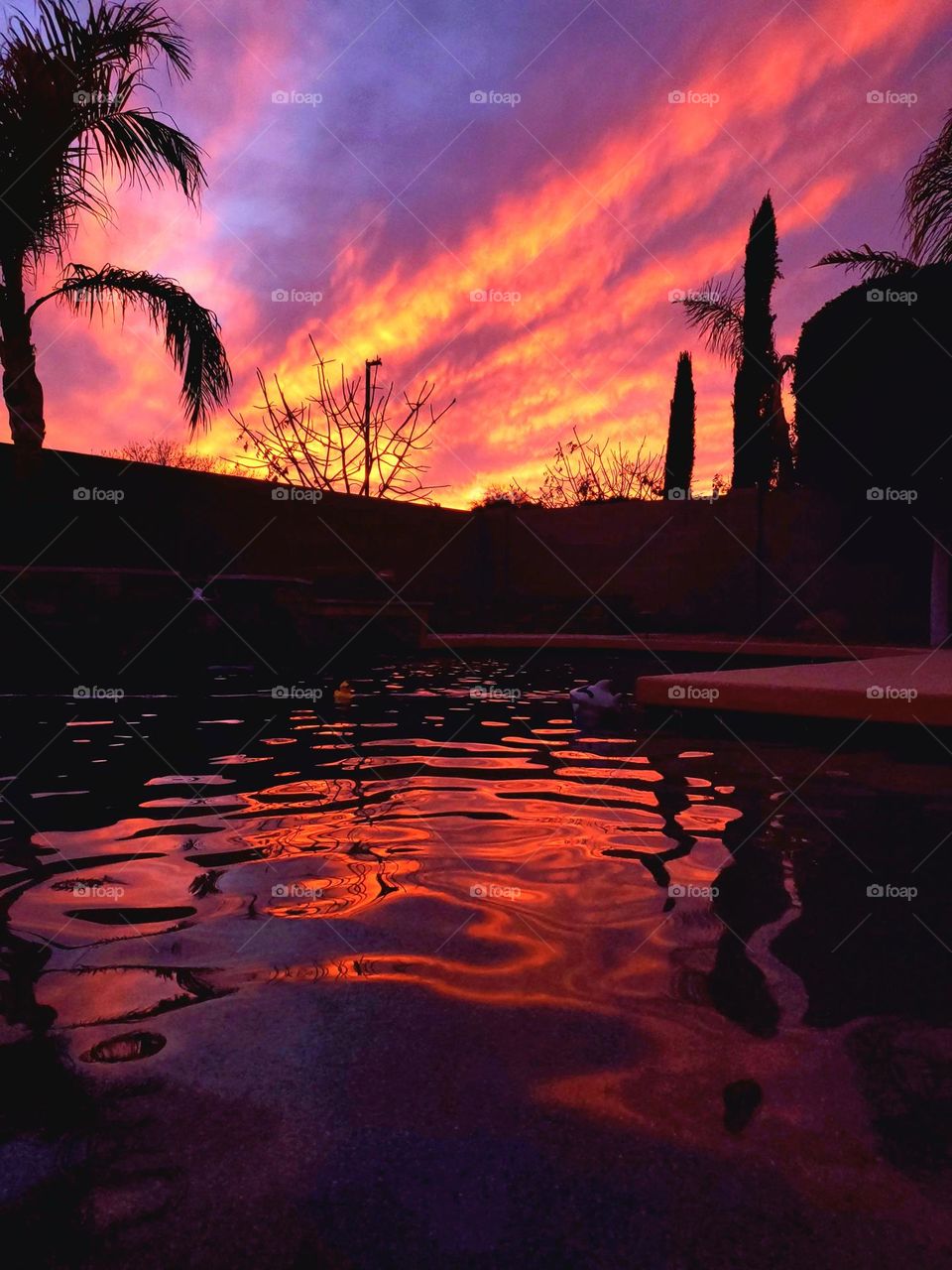 A brilliant sunset in the Arizona desert is reflected in the water of a backyard swimming pool