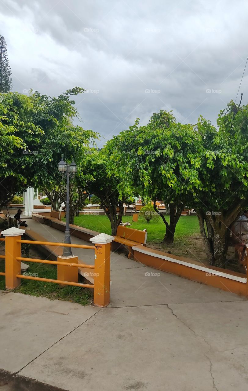 Parque con naturaleza 🌳