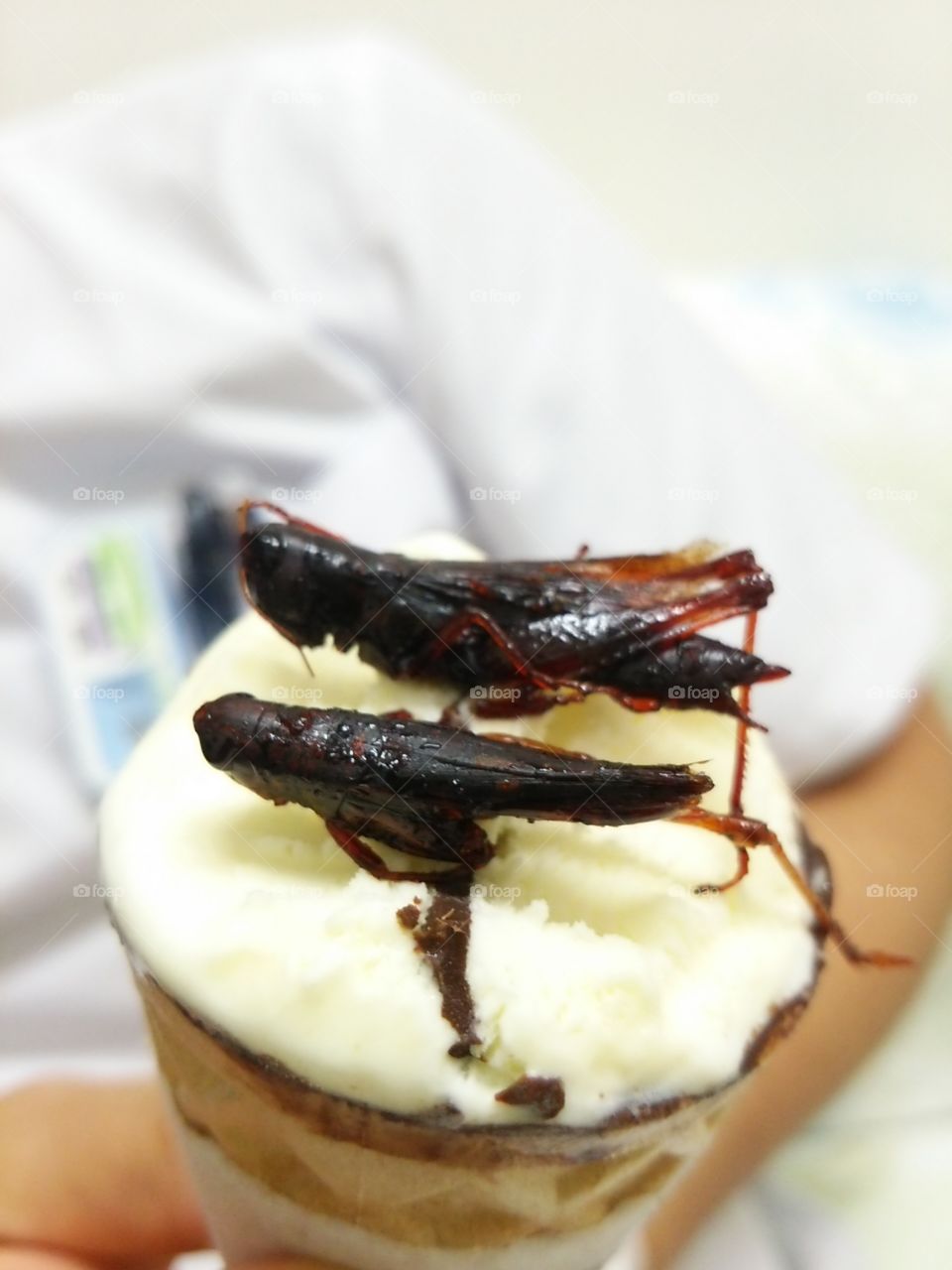 The grasshopper brothers on ice cream!!
 They's name is ''Inago no tsukudani''in japan.  What do you know?? 
That's taste was solty about like japanese Shouyu.(*´ω｀*)