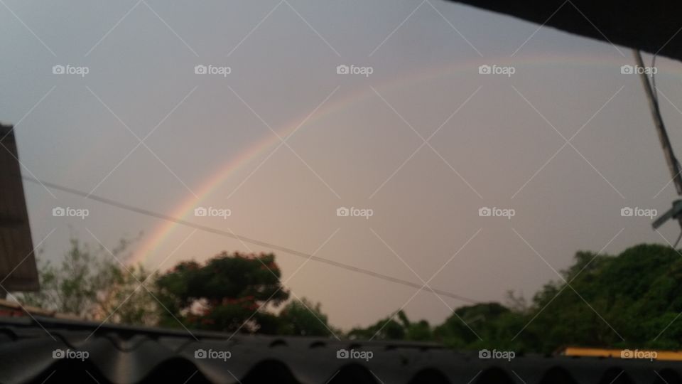 Rainbow