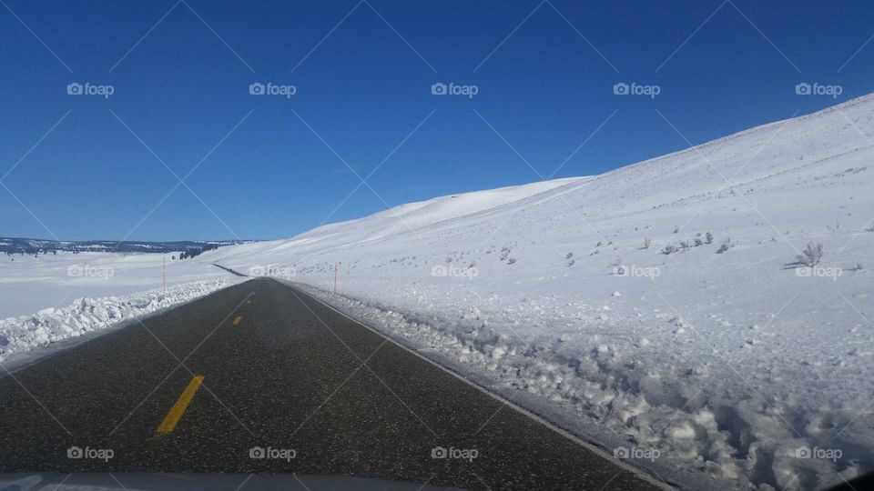 frozen road