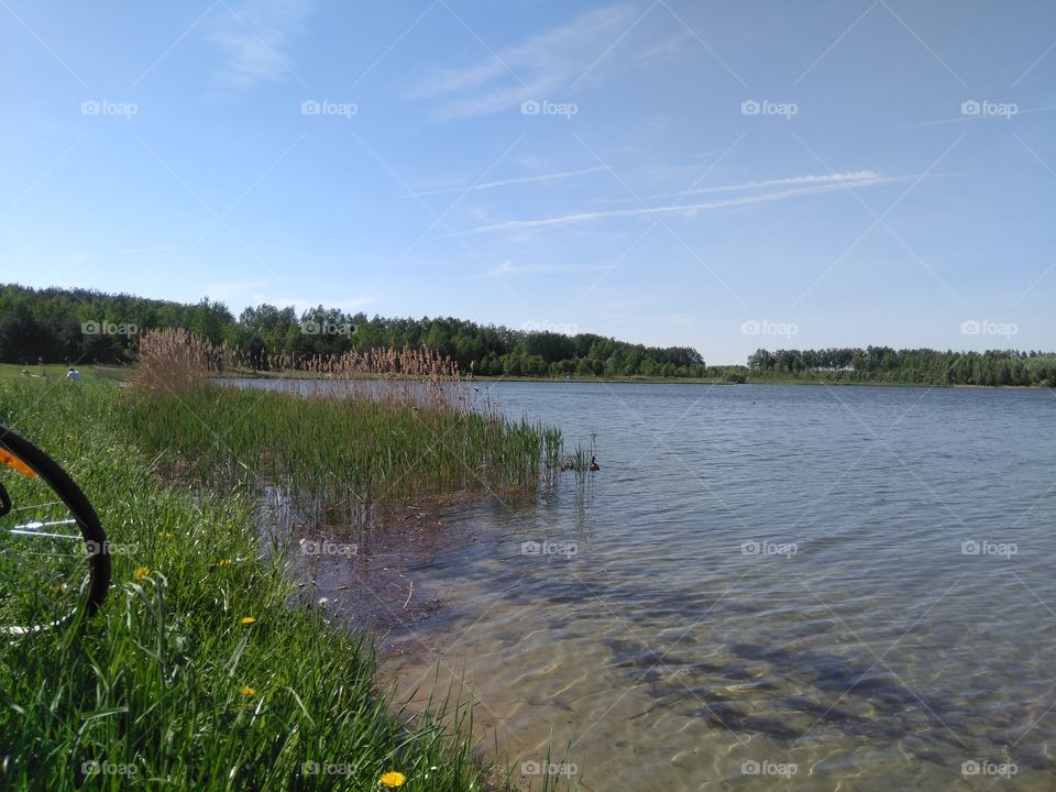 lake shore summer landscape