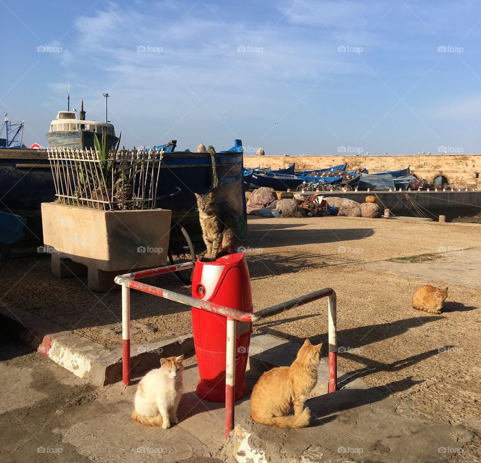 People, No Person, Travel, Transportation System, Vehicle