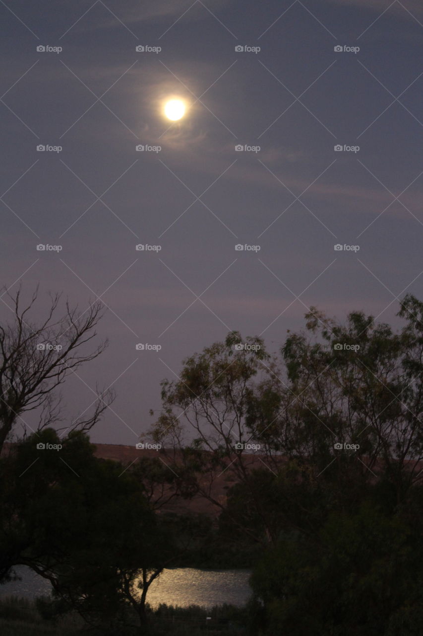 Reflections of the moon in a tranquil setting