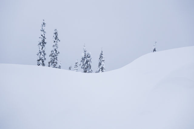 Snowy
