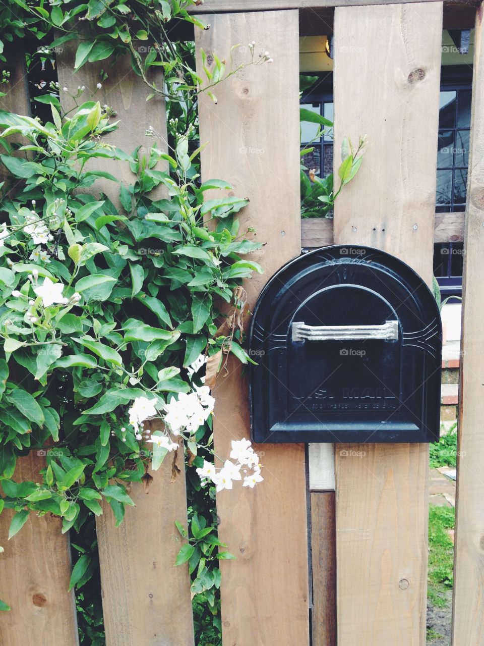 Venice beachside mailbox.