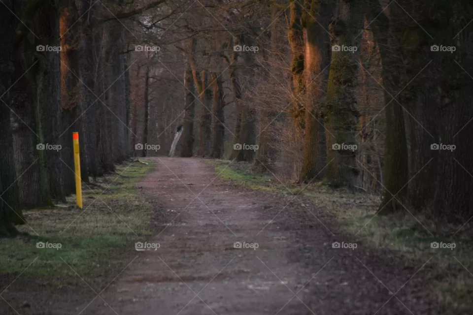 Einsamer Wanderweg