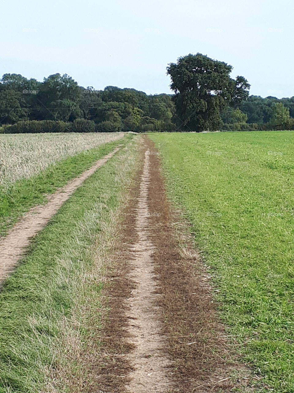 Tractor Tracks