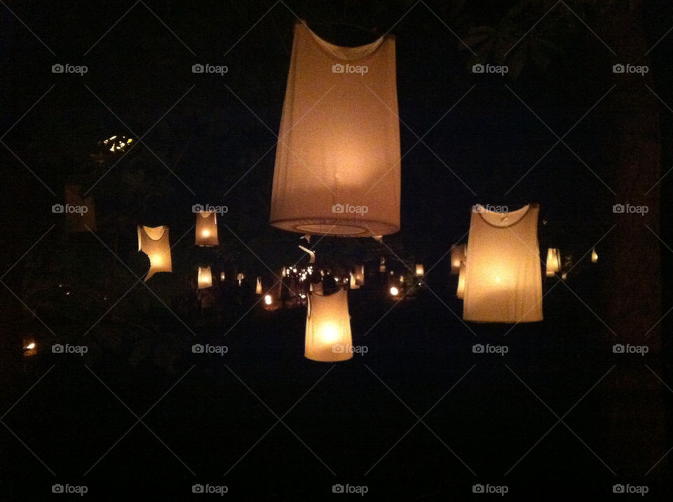 Brighton festival lights up