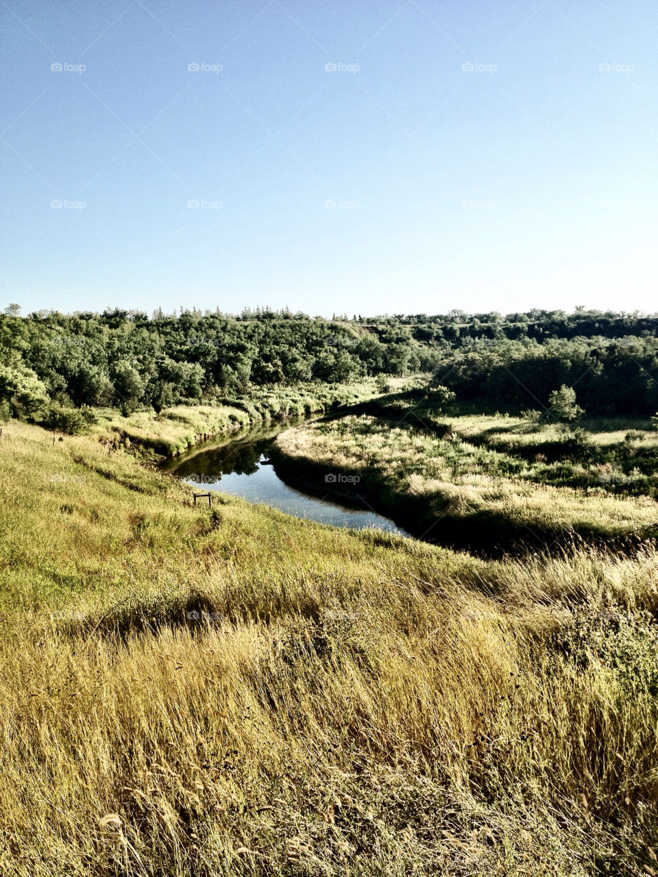 sky green grass fence by stykellee