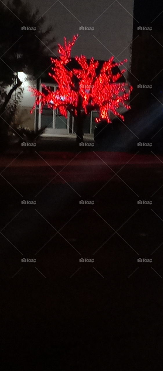 I spy with my little eye #SOMETHING RED you see the red tree and I see you and me 2red angry birds side by side