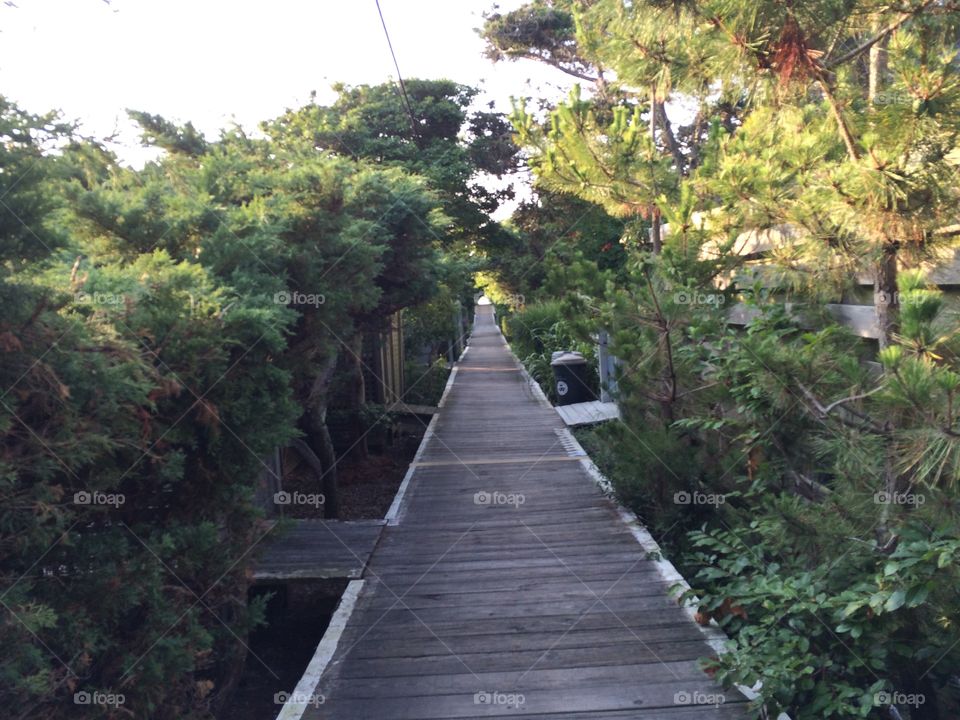 Fire island walkway 