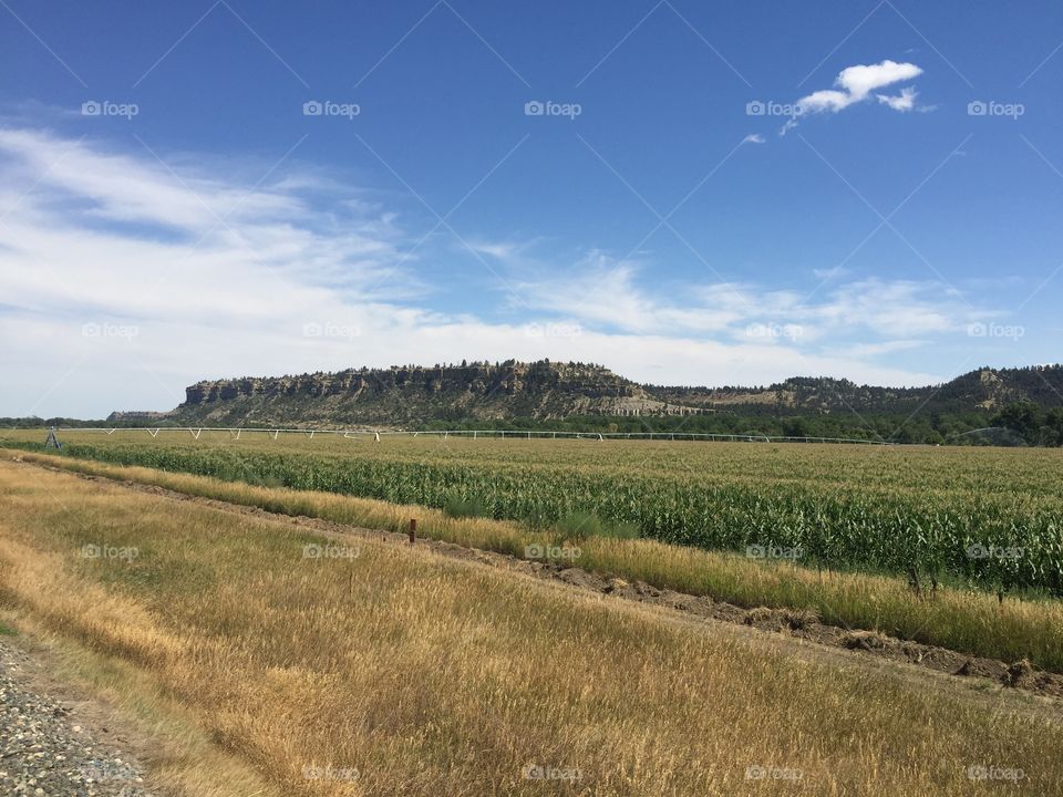 No Person, Landscape, Agriculture, Nature, Sky