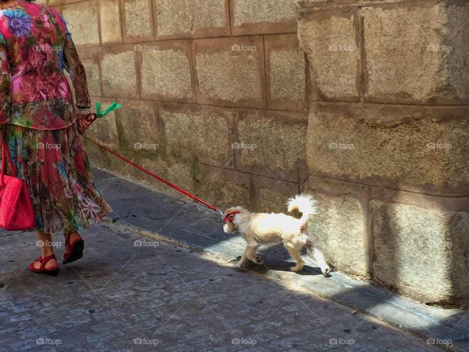 Woman in colorful clothes walking her white dog