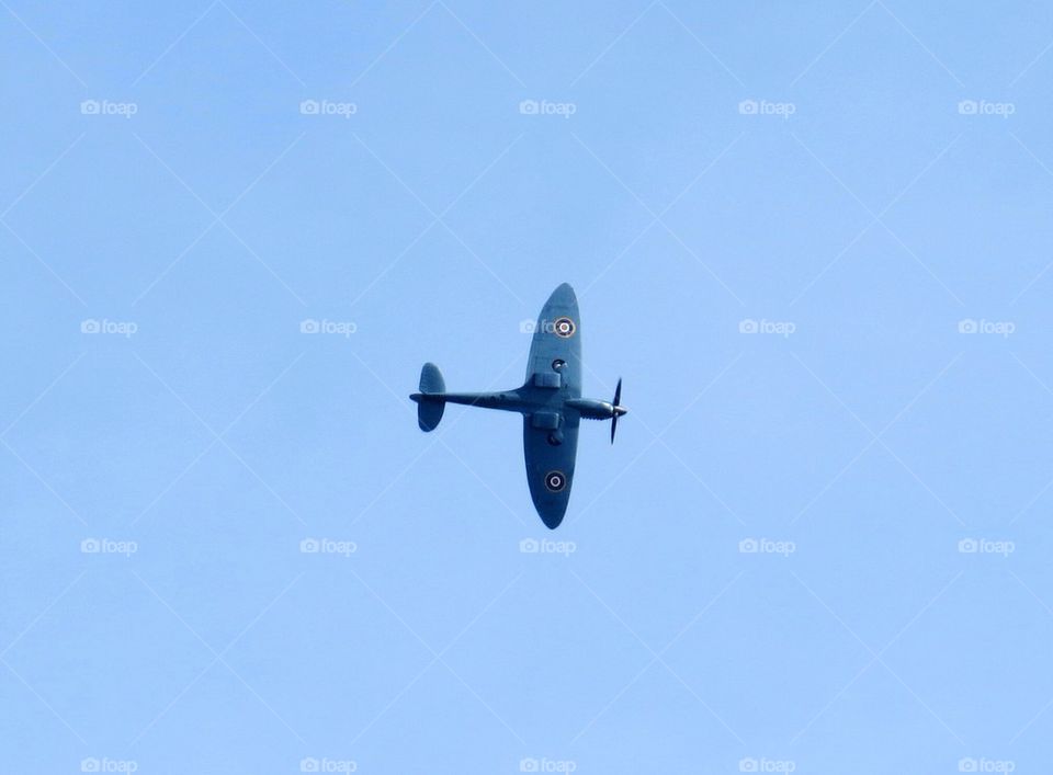 Spitfire 