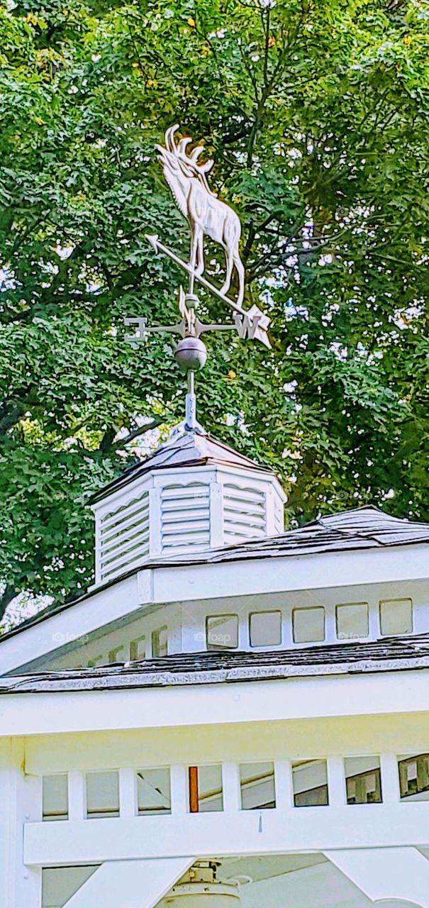 Wood slats Cupola topped with a copper Moose Weather Vane. Green tree leaves are in background.