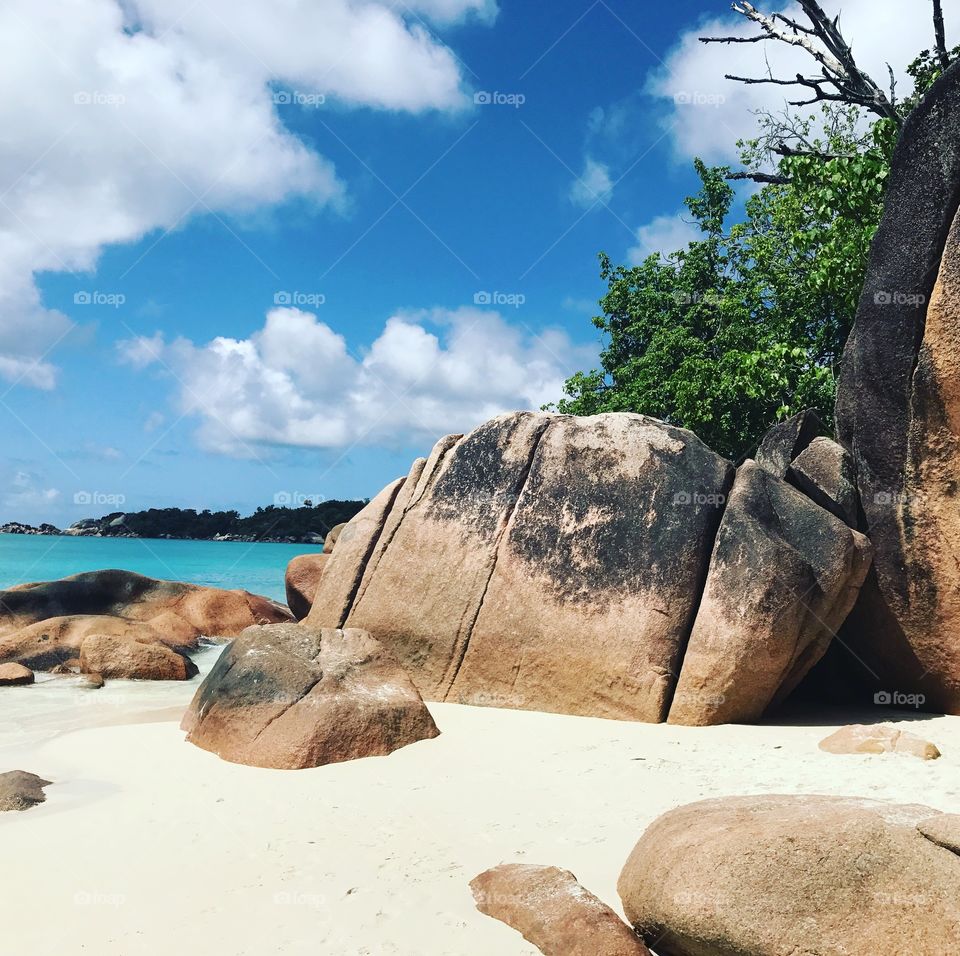 Praslin , Seychelles