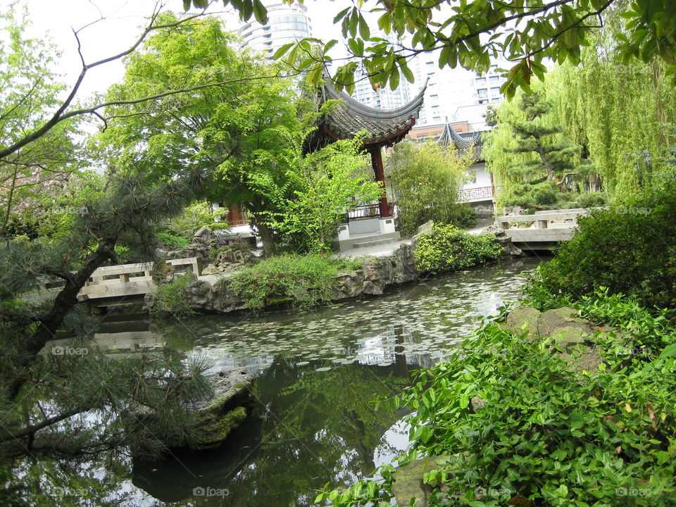 A one block Chinese garden in the centre of the city of Vancouver