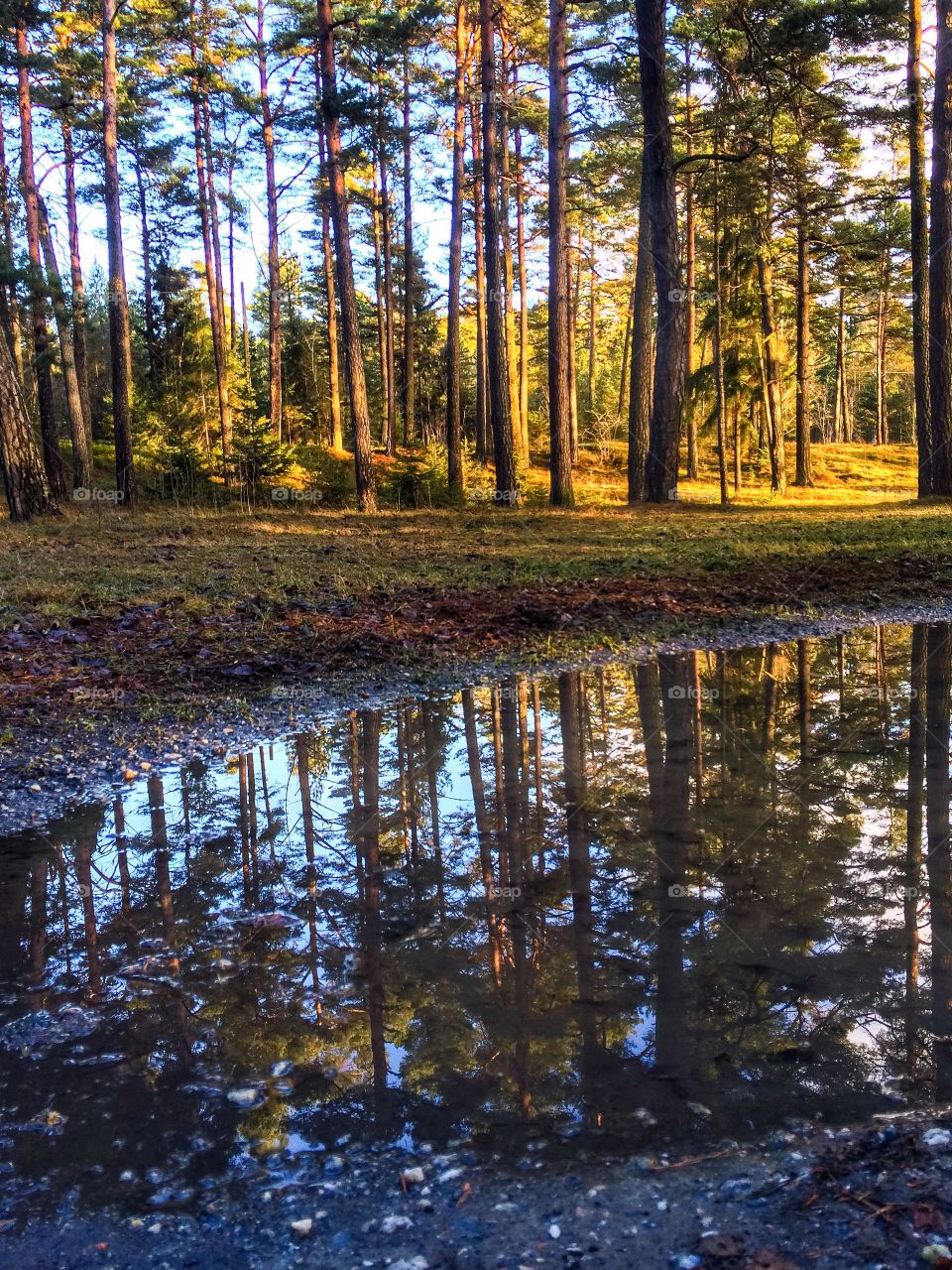 Incredible reflections