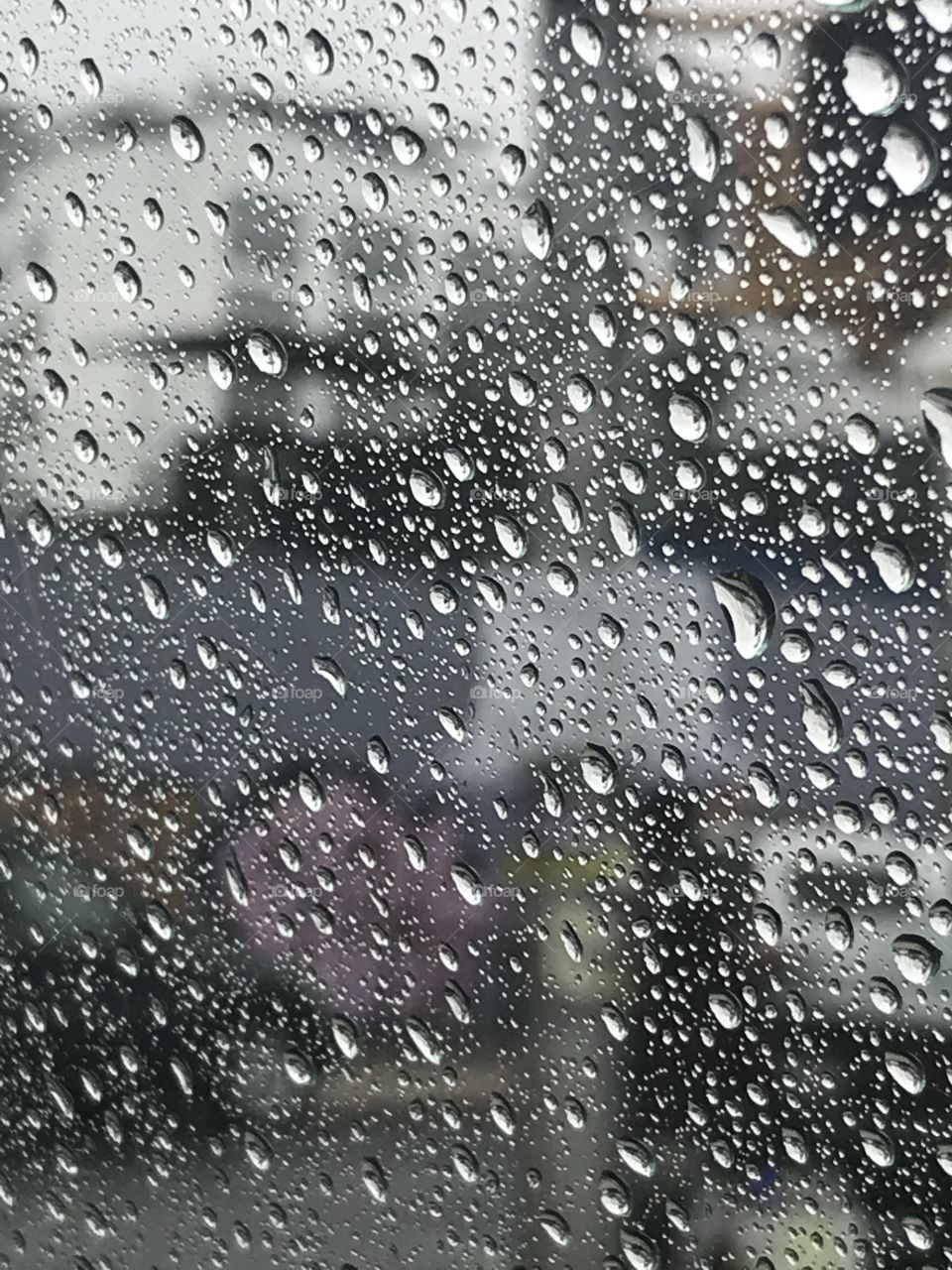Rainy Day in Brooklyn 