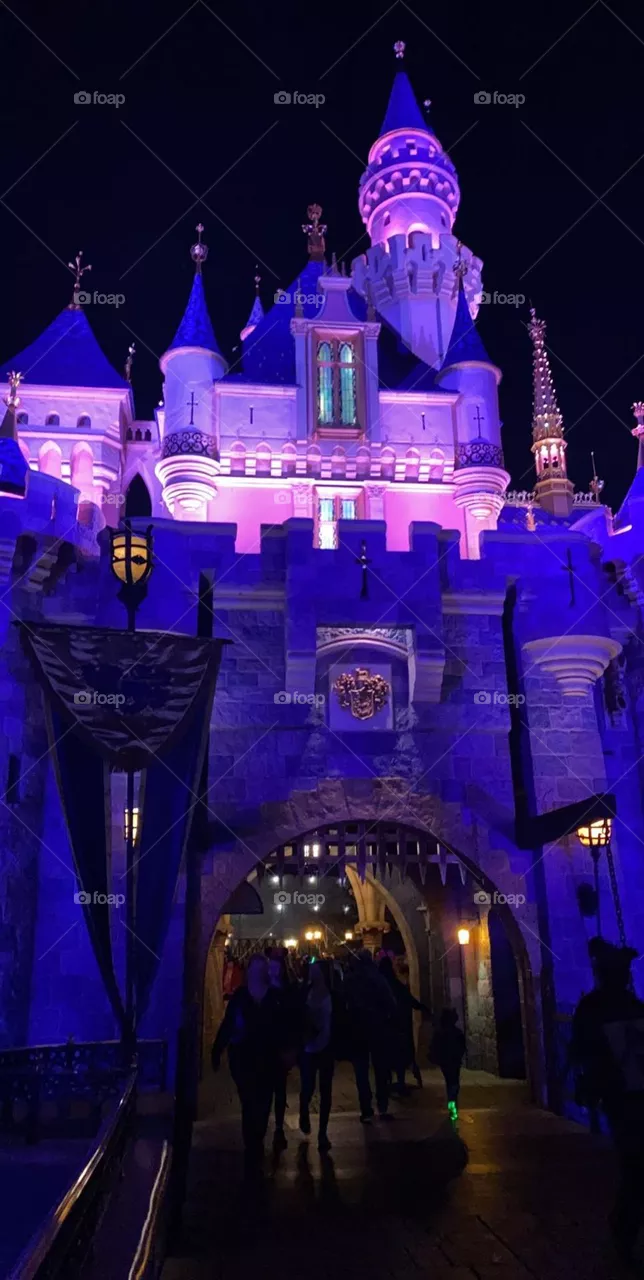 Disney castle 