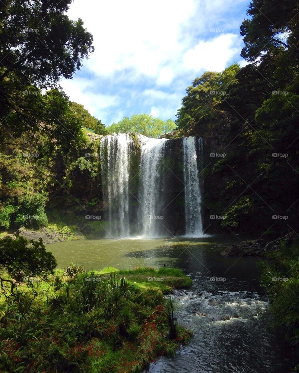 Whangarei Falls 2015 Summer NZ