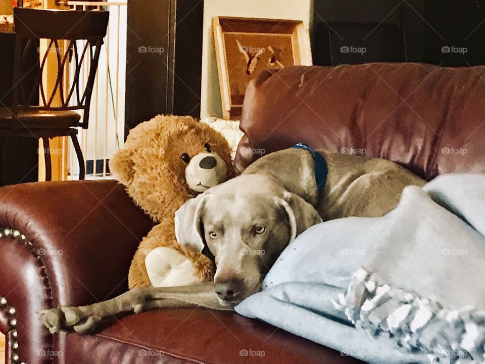 Time to cuddle up with our teddy and take a nap! 