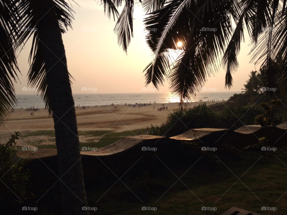 beach sunset india palmtrees by tegetosa