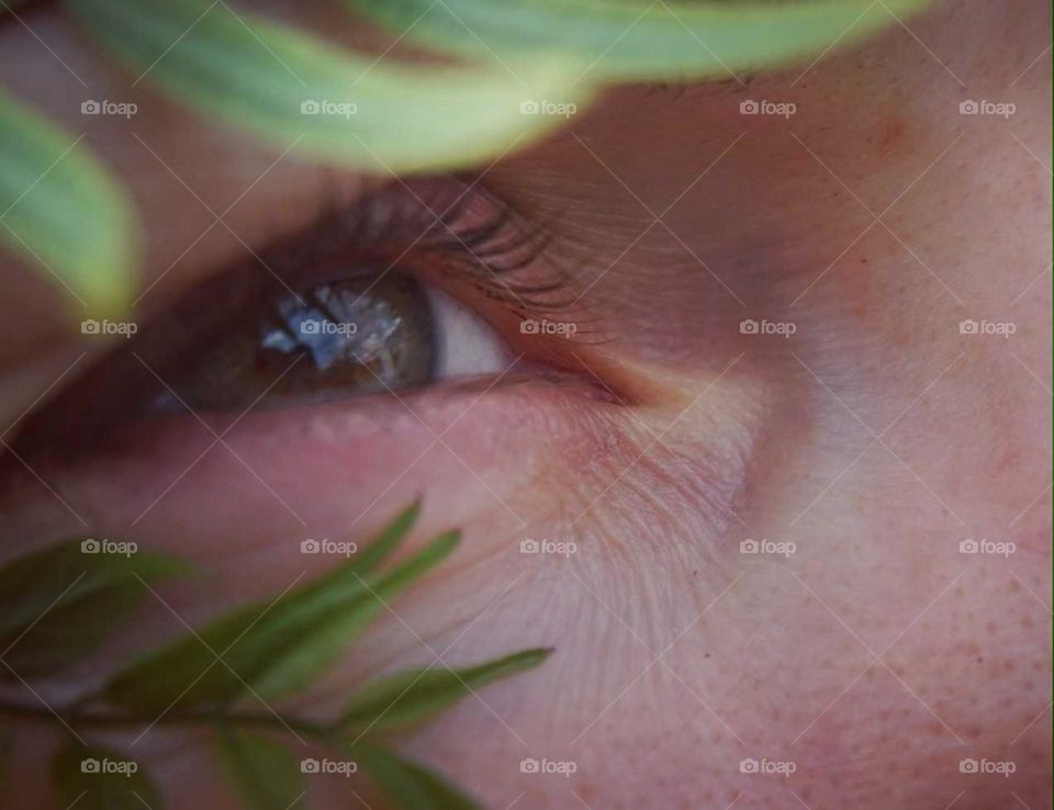 Eye#nature#leaves