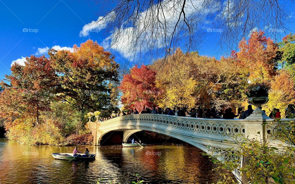 Tourists Enjoying Fall Foliage in New York City’s Central Park Bow Bridge and Rowing 