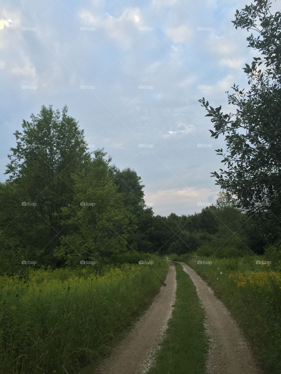 Hike in northern Michigan 