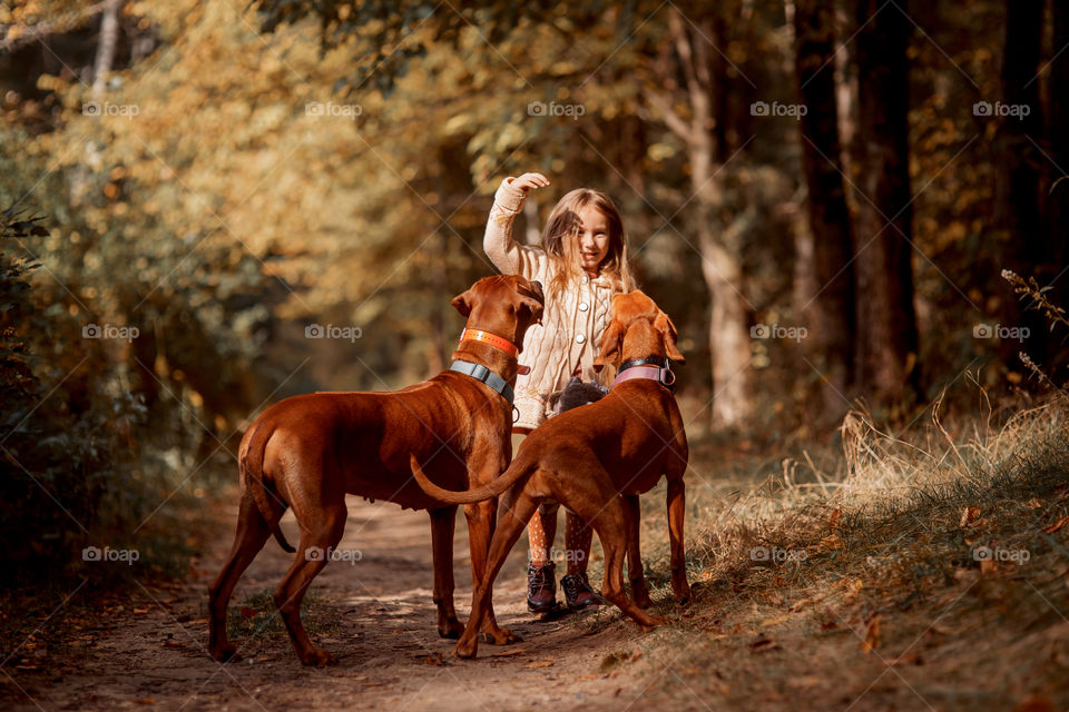 Little girl playing with dogs in an autumn park