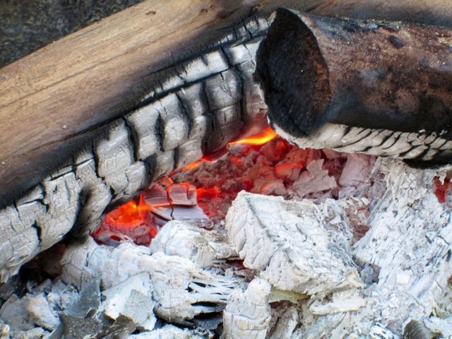 Warm and toasty!