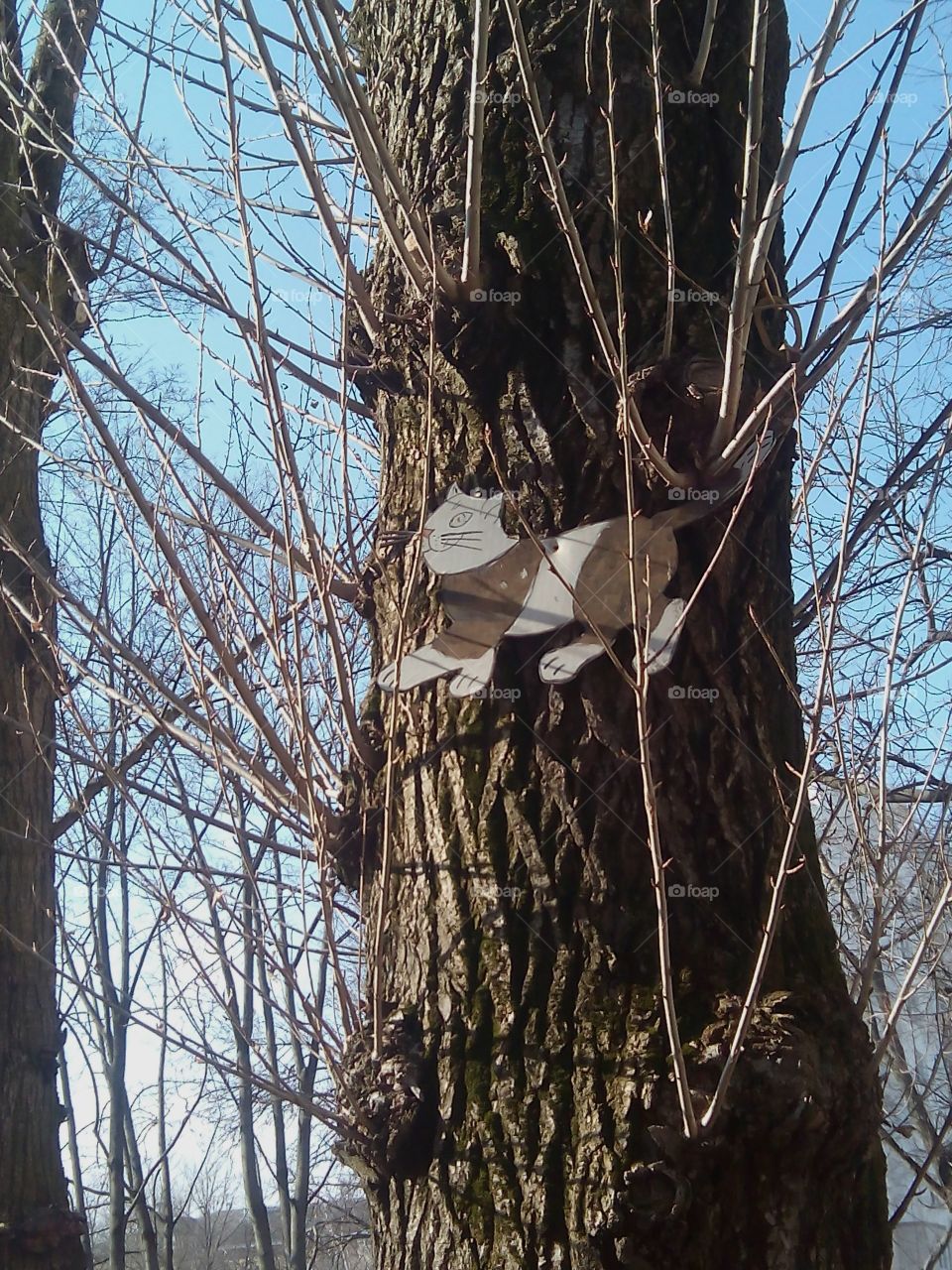 Tree, Winter, Wood, Snow, Branch