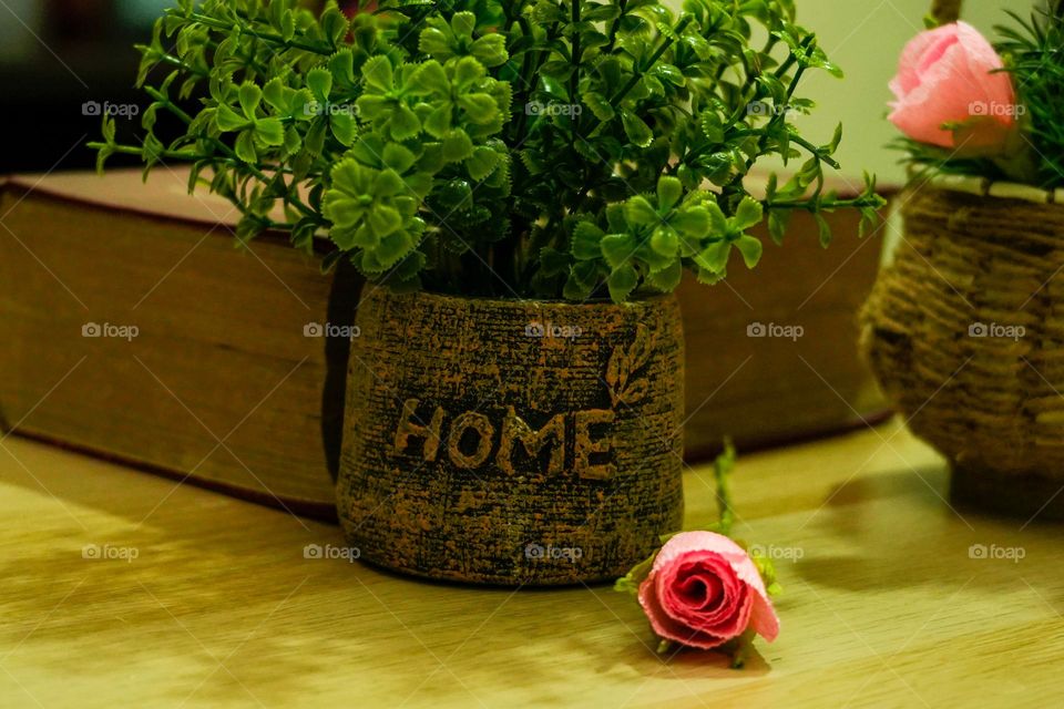 Photo of the week.Home decor