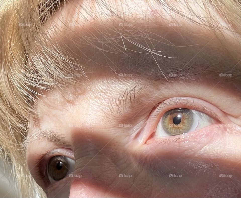 Closeup of eyes with shadow from blind on face