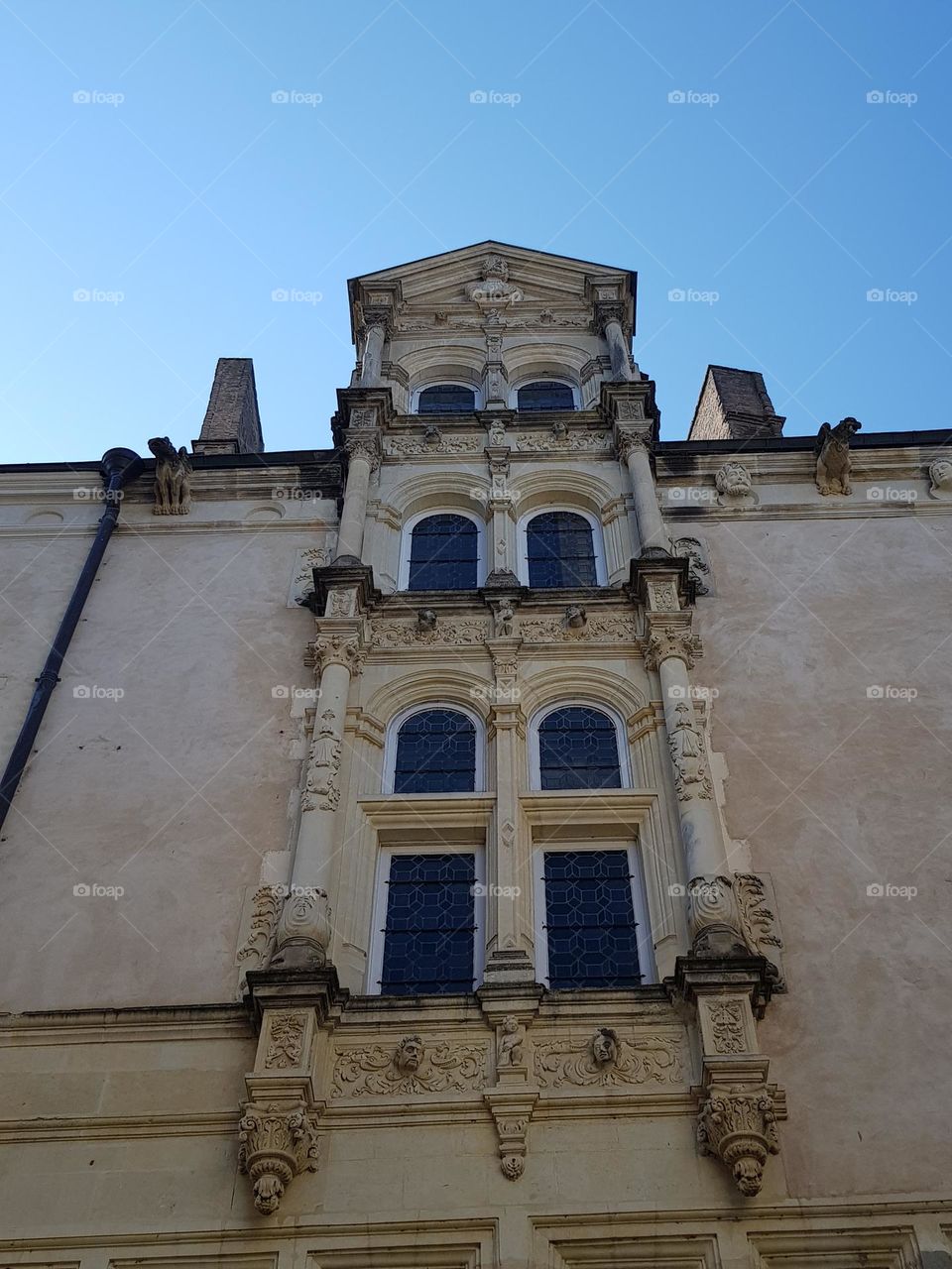 a part of historic façade of the grand veneur house in Laval (France)