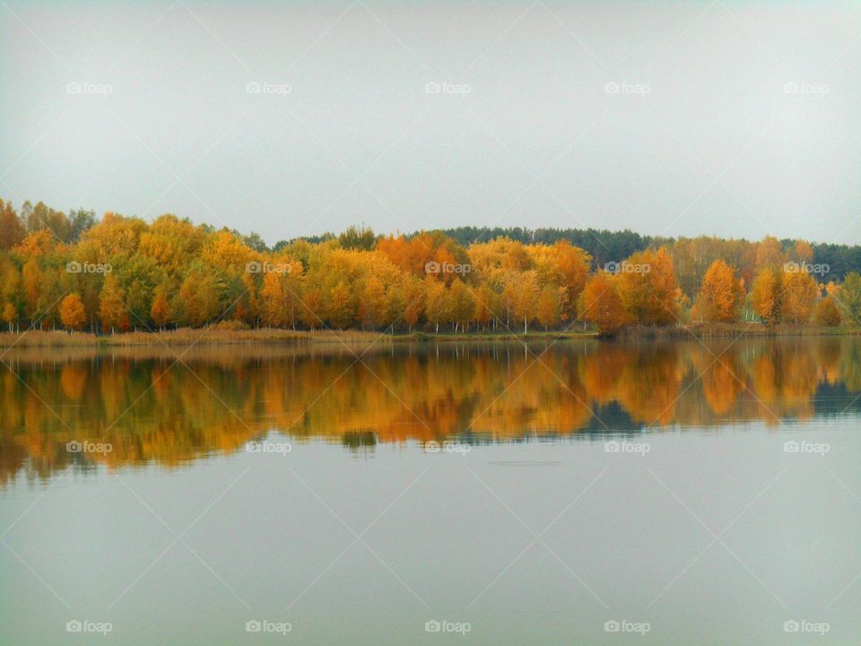 Reflection of autumn trees on lake