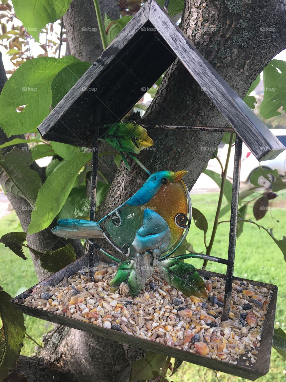 Bird feeder in the front yard 