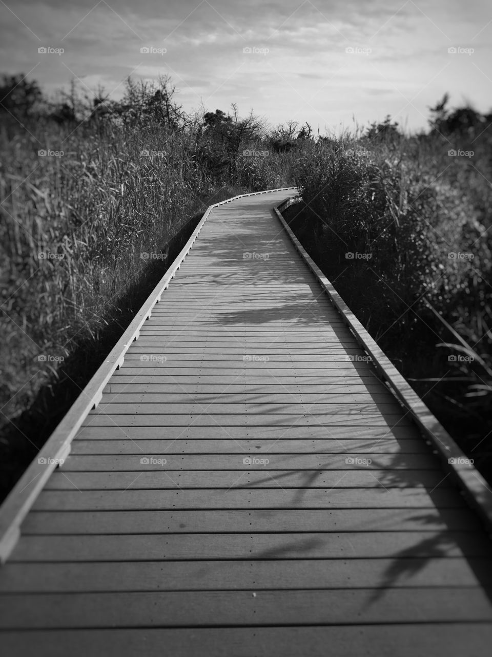 A hidden path, full of mystery...