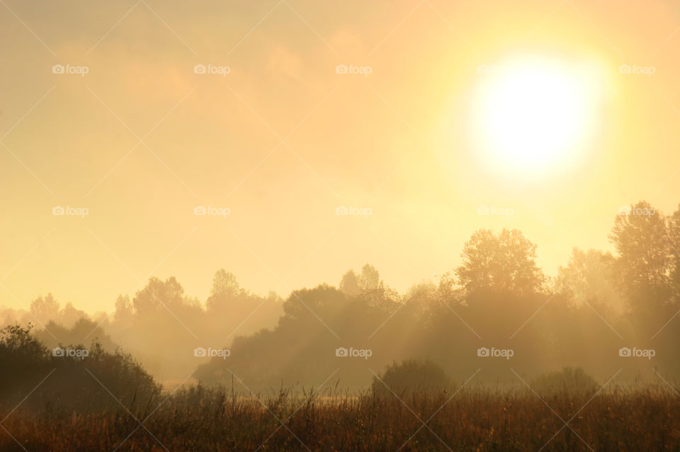 Autumn misty park at early morning 