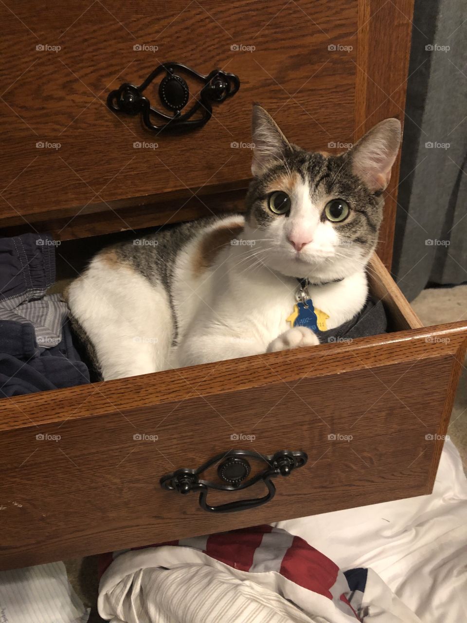 Nap in a drawer