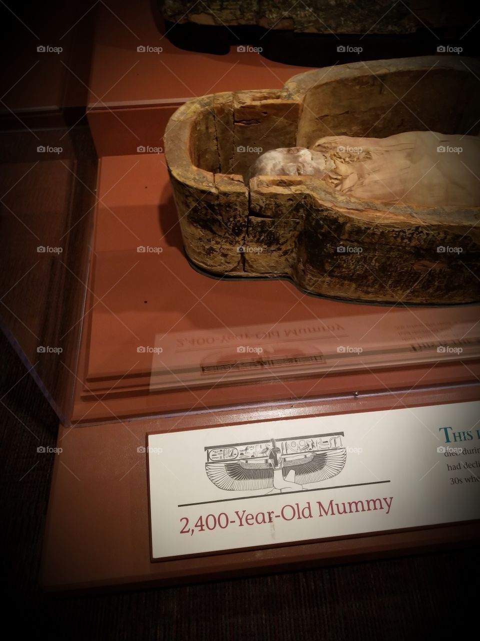 Ancient Mummy