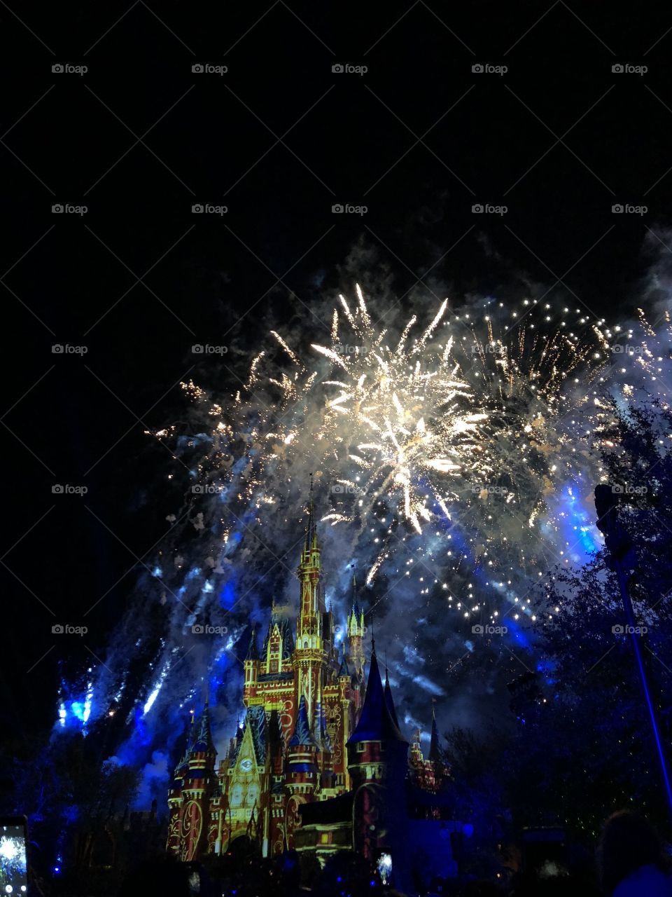 Firework show at Walt Disney World