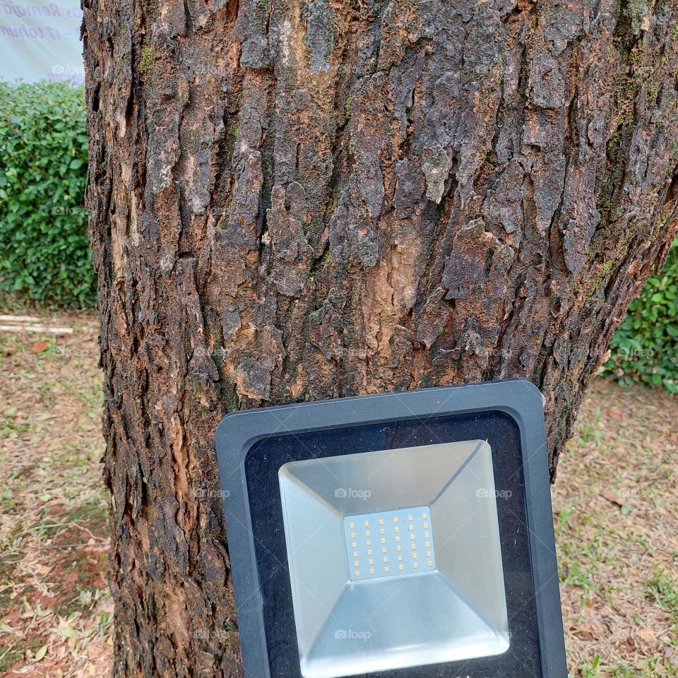 garden spotlights to illuminate trees