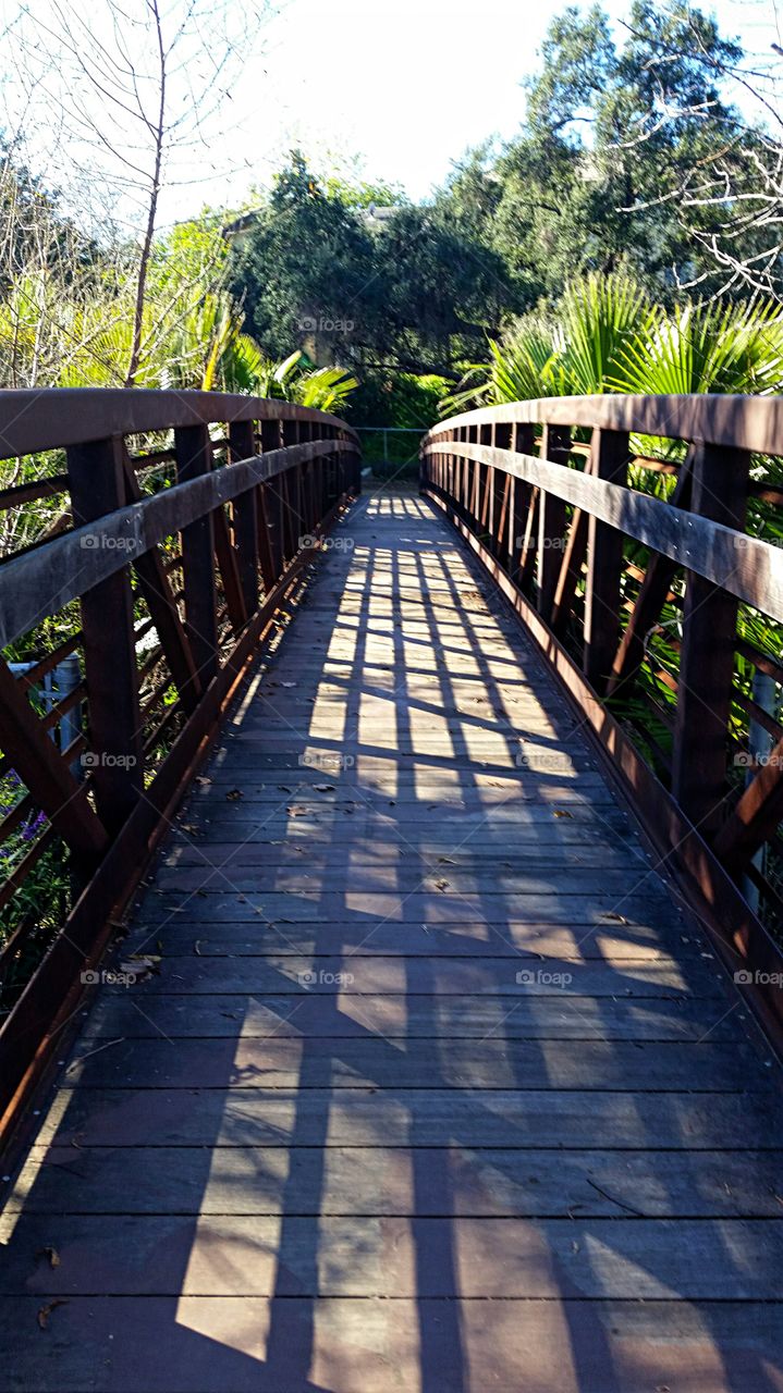 Wooden Foot Bridge